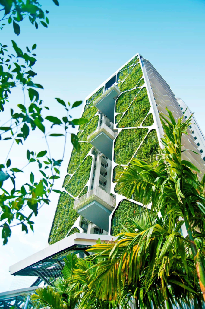 KDArchitects Landscape Ideas from Morph